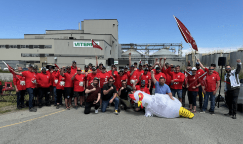 Les travailleuses et travailleurs de Viterra à Bécancour entament leur septième semaine de grève